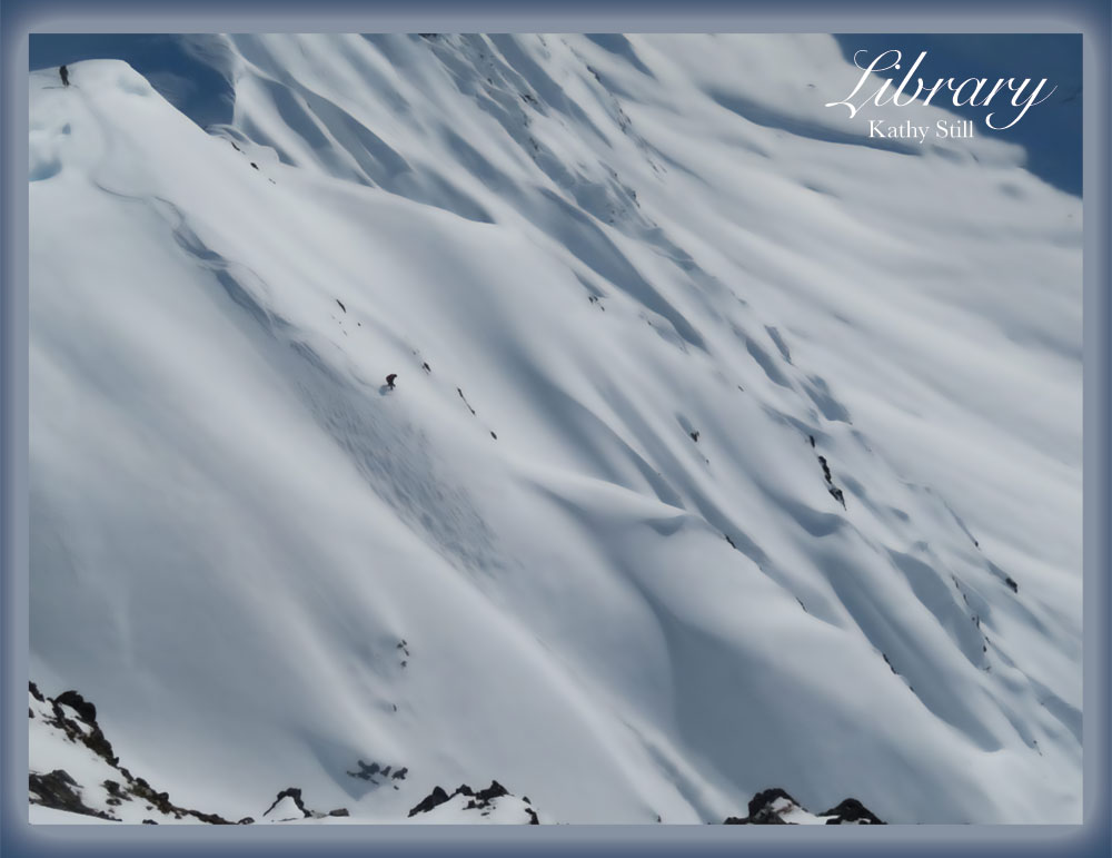 Back cover - Library - Kathy